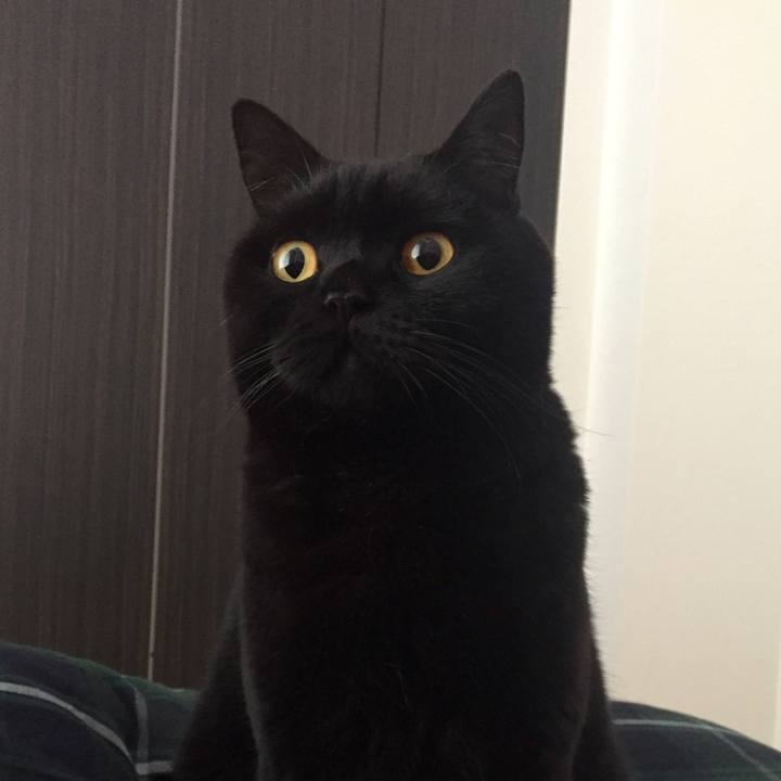 Ee494675 562a 4ce1 9907 26c7581551a5 1542932172865