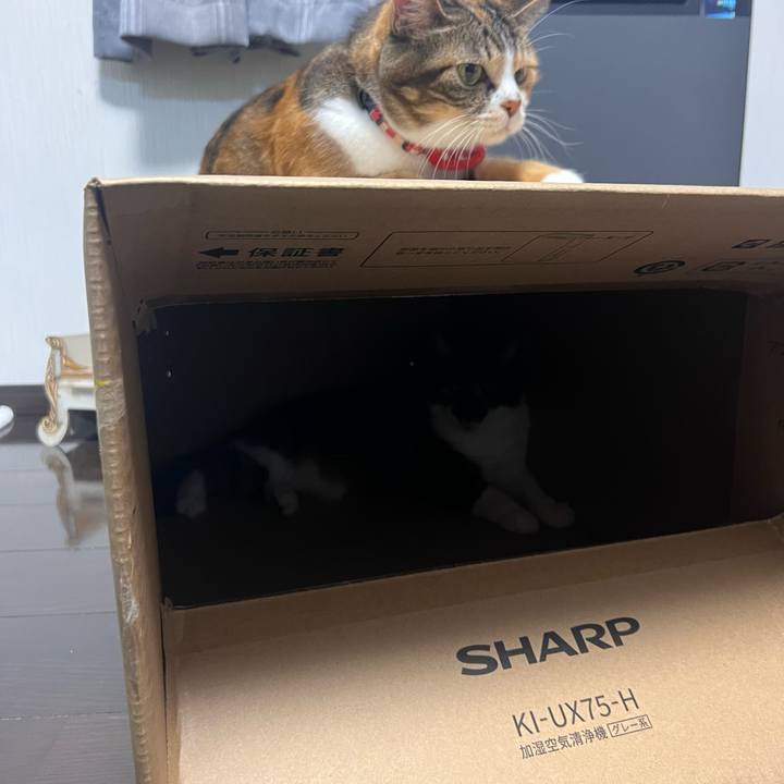 Ee49ec68 3a1b 4892 83ba 177a4ca65b4c 1764939457804