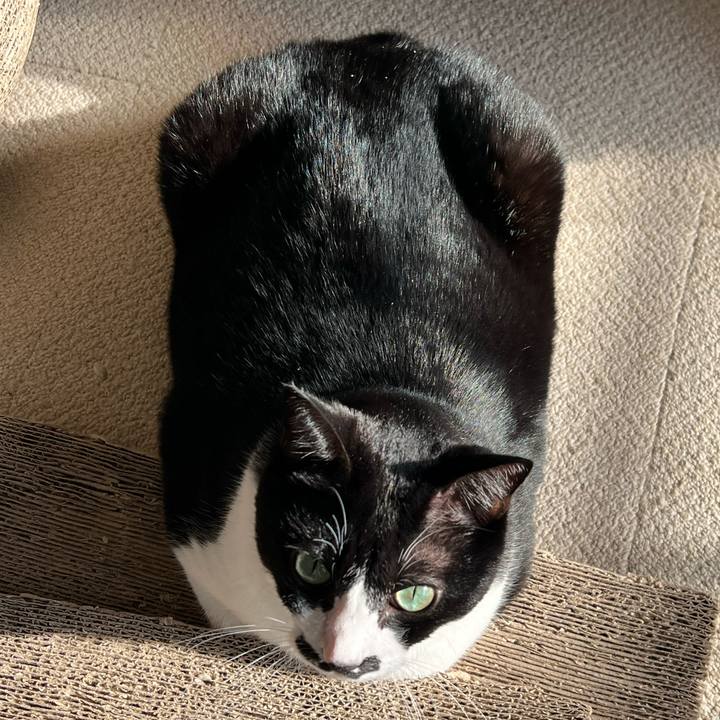 Ee49f089 90f0 44e4 b032 0828ca756001 1763164077190