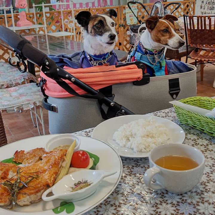 Ee4a0def 4742 40a6 8ac1 f7aaeb6cf1ec 1654872590783