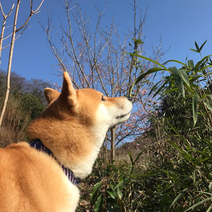 Ee4a4b14 78b2 496d 9d1c 2b21a0c59e77 1551161237417