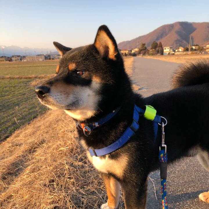 Ee4a6613 0254 43ce 8f21 7a009d19faf4 1551000158100