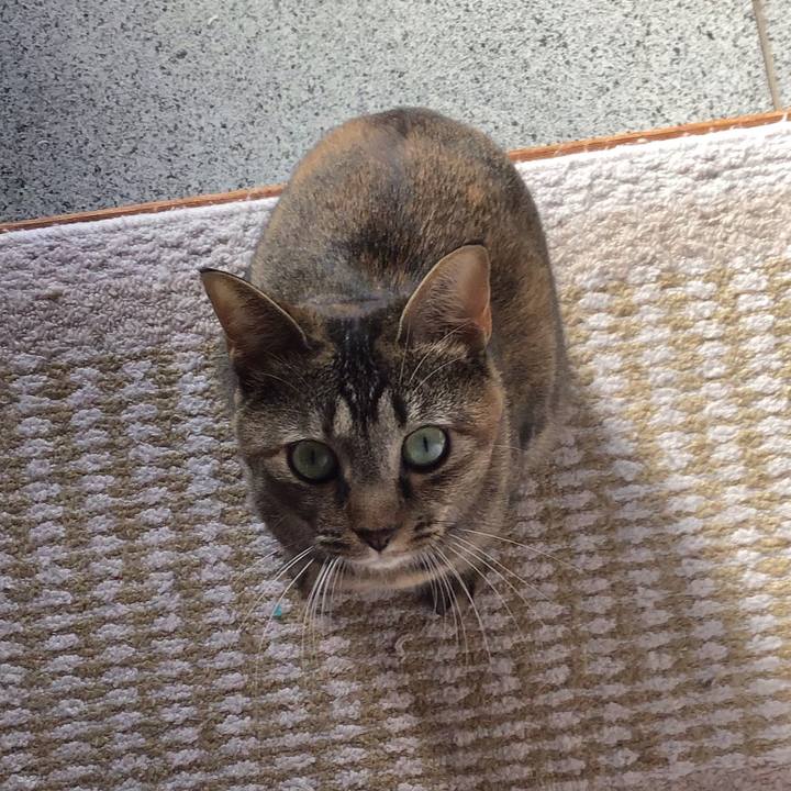 Ee4a7996 8ba3 4833 aef0 18fb38f3d109 1605917460350