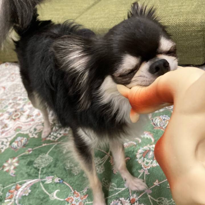 Ee4ac60d 3f29 4641 bbd0 c5fe117ee9de 1664112791190