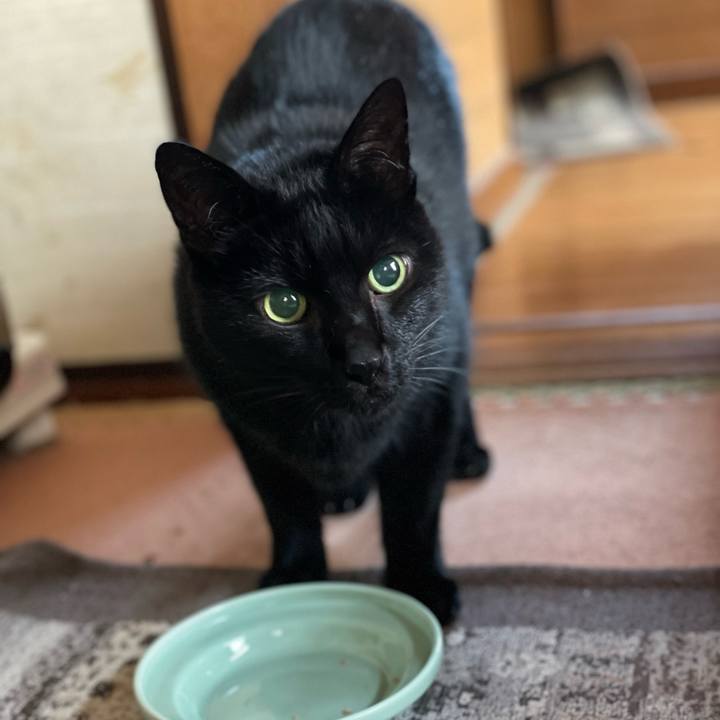 Ee4b17c4 f804 44b0 95f4 d127750c8511 1638582819273