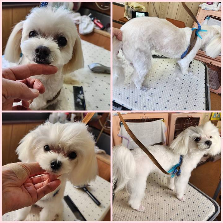 Ee4bc5b2 f31c 4b00 b6de 2f617a333a0d 1728293190872