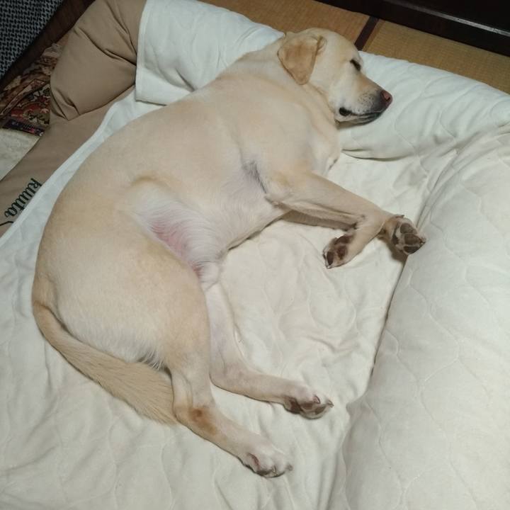 Ee4bce05 370b 4a35 be12 12087507b134 1643547967156