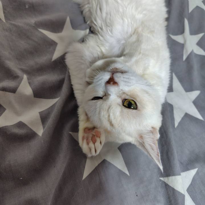 Ee4c0341 dcbe 450c a475 f5114aeff3e7 1725199911259