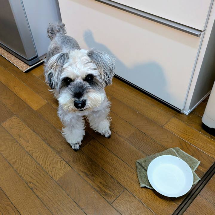 Ee4c049d 0ae4 422c bc2b c20a1b727e70 1762047180139