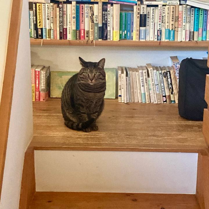 Ee4c0636 b2b6 4a6e b1eb 693dc84d3da1 1701583781621