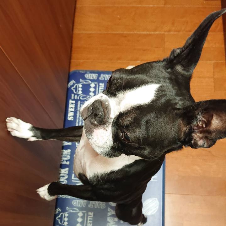 Ee4c12f8 193d 46c0 8124 89ee7d5e9c3c 1641993064578