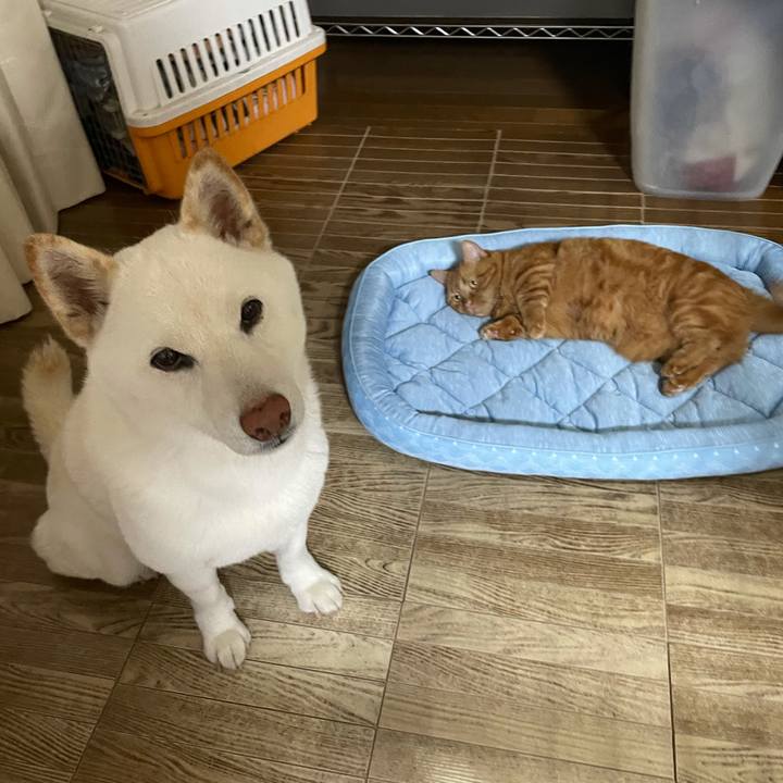 Ee4c539e fcfd 4dc5 b8c1 52e3ddb50044 1627211416493