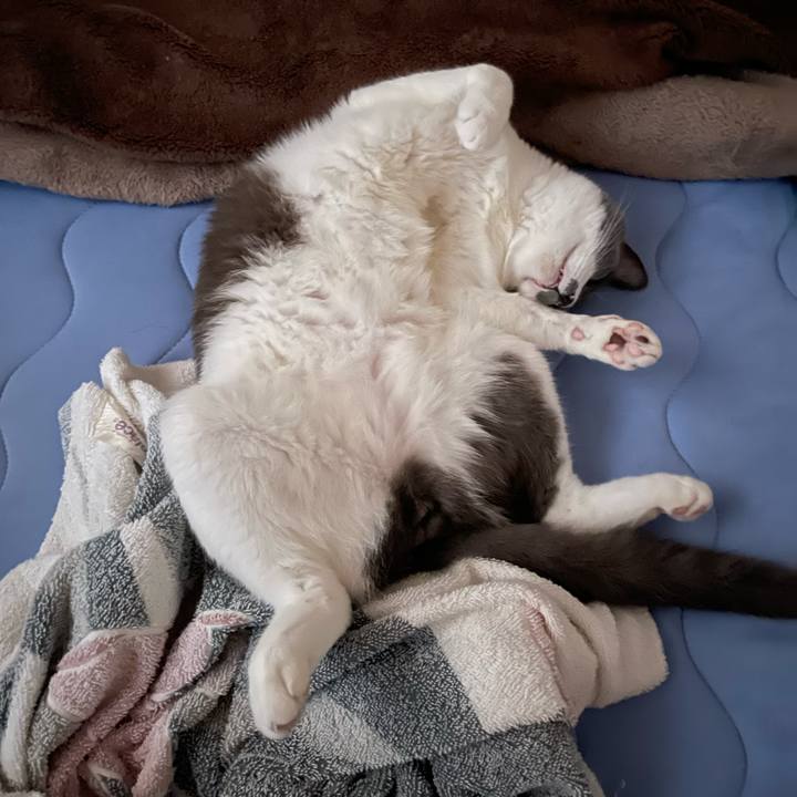 Ee4c7c94 b072 4d1d b031 47019b69378a 1662502674778