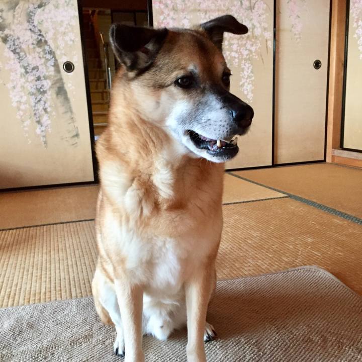 Ee4c9e2a d522 4921 9c8d 2835e9e6112c 1580809743253