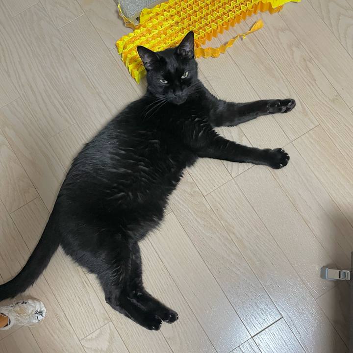 Ee4ccf40 be85 4508 a619 c345958fbf89 1673611699393