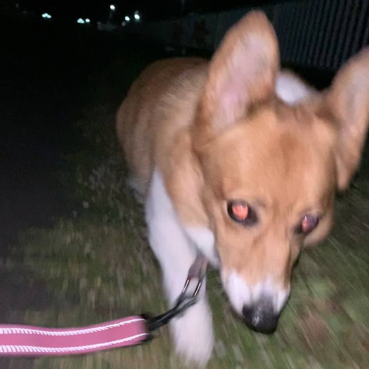 Ee4cd72b e291 44c7 b40c 28e6f510a541 1690635000529