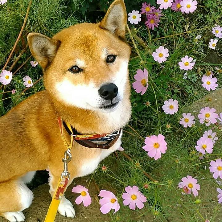 Ee4ce683 f2b0 4296 a216 16ec32bf347b 1572739639704