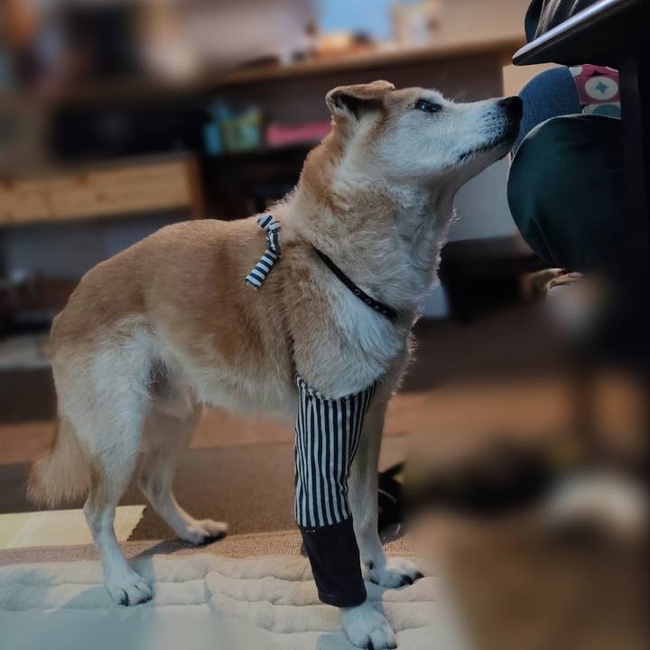 Ee4d1214 4894 4beb ab42 15f60ce95474 1678179583908