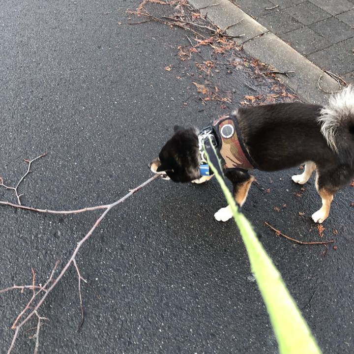 Ee4d159c 2a49 4db5 8285 c097b4e2214e 1523484656443