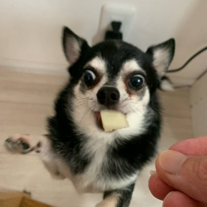 Ee4d68f4 820d 4208 9e51 d51af1ea8f3a 1664156314965