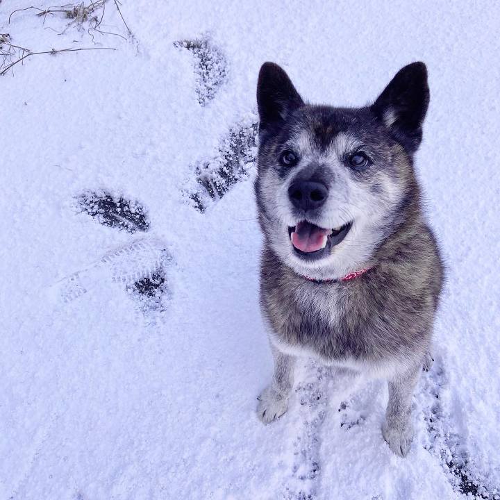 Ee4d9822 5bcc 45f2 bc85 d8a7af77ab62 1706138004692