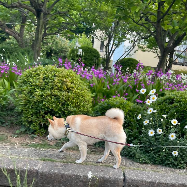 Ee4de0cf 19ab 422a aafb 1d1a221732b7 1682390322449