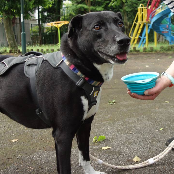 Ee4df83b f880 4926 a406 50fc1ab47054 1653180713731