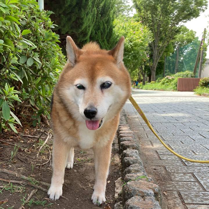 Ee4e0564 4dd5 4219 a5cd a0403c901450 1657345532589