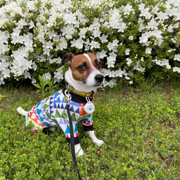 Ee4e174d 3653 4a25 9881 35ad57b2ab50 1652084424882