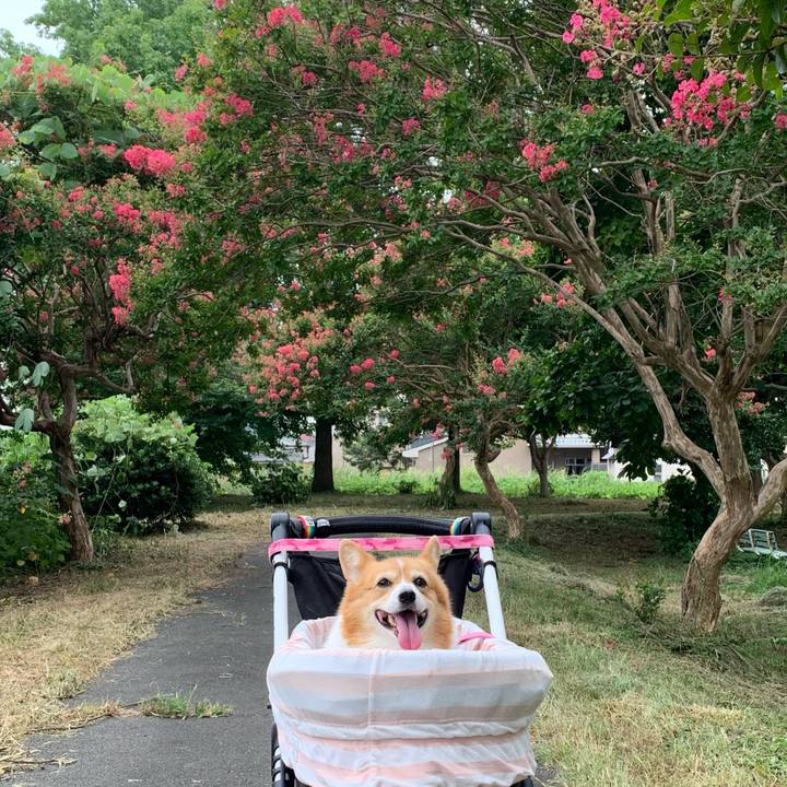 Ee4e2e37 5d8e 4820 8b05 97f549c0f7ba 1723077129983