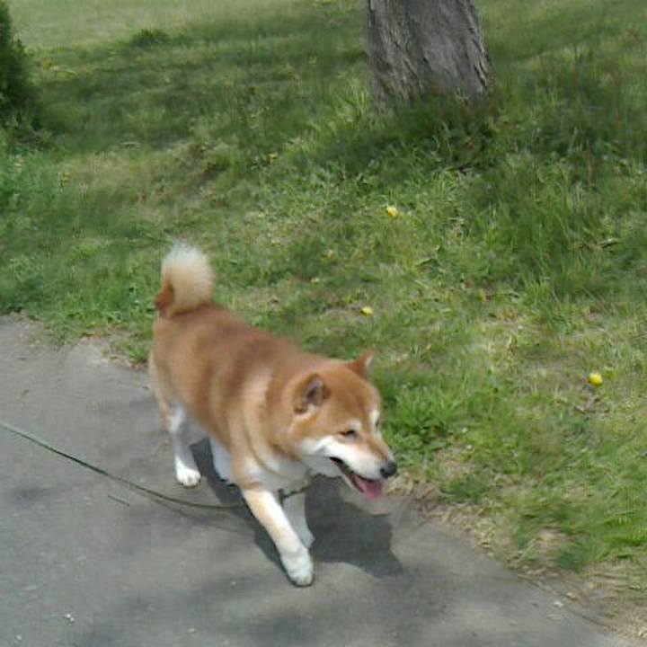 Ee4e2fbe 9720 43f6 8f6c 9a4e714ccf8c 1555930410815