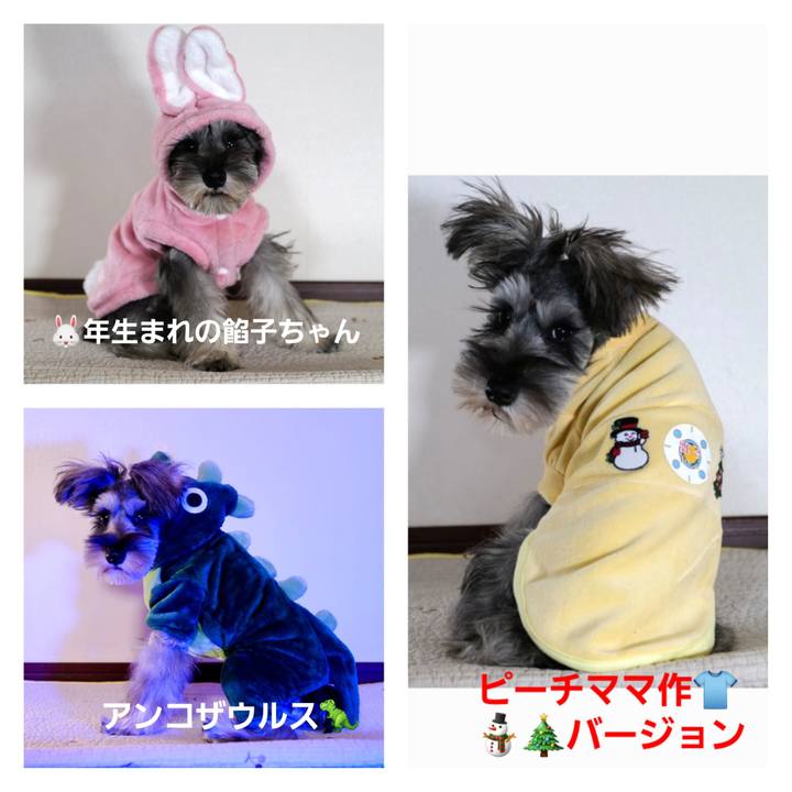 Ee4e30b3 2774 4b86 94bf c715d991ce20 1700653987244