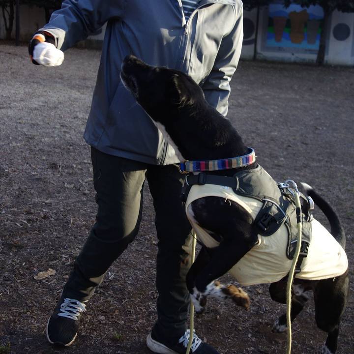 Ee4e3383 e0ab 49c0 833b 2c14f68e6037 1643504905404