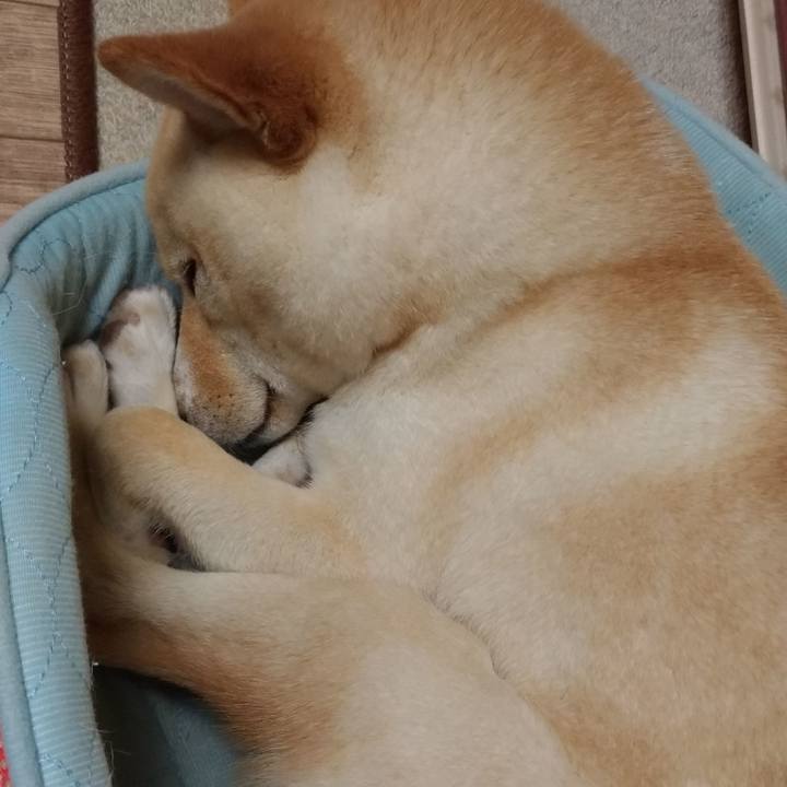 Ee4e3922 2d69 471b 9781 fdcdf54fcb4b 1529236464513