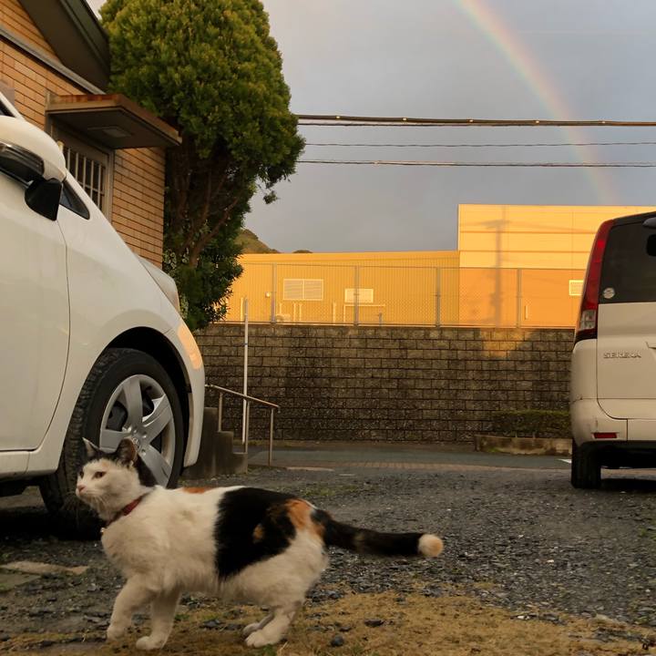 Ee4e4f6c ac63 46ab b518 deb72680ae0d 1615586752861