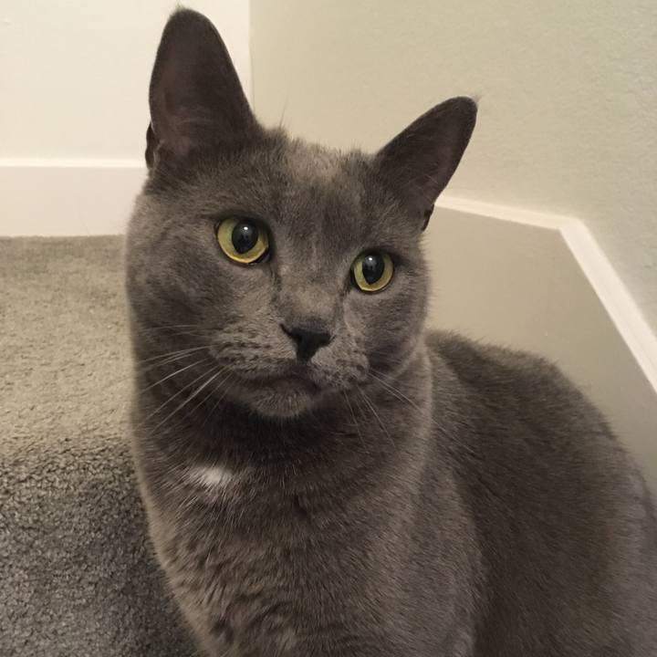 Ee4e6443 3026 4cca bb15 89222e0bab43 1675707721656