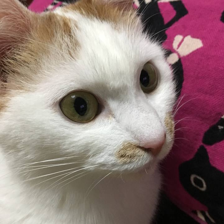 Ee4e7f38 3883 4dba a196 2b8b8a6265d2 1548942094091