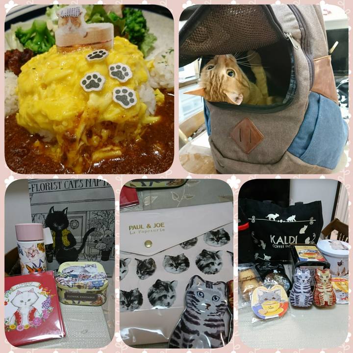 Ee4ebdb3 0cb1 4879 acd6 575eb005a756 1519297123801