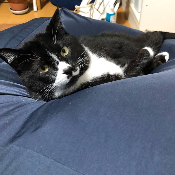 Ee4f02a0 8942 4a1e 913c f6fe4f8b1f4c 1656473799260