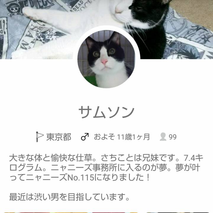 Ee4f282c ad8a 4e94 8f30 dd63aa21153c 1538647749795