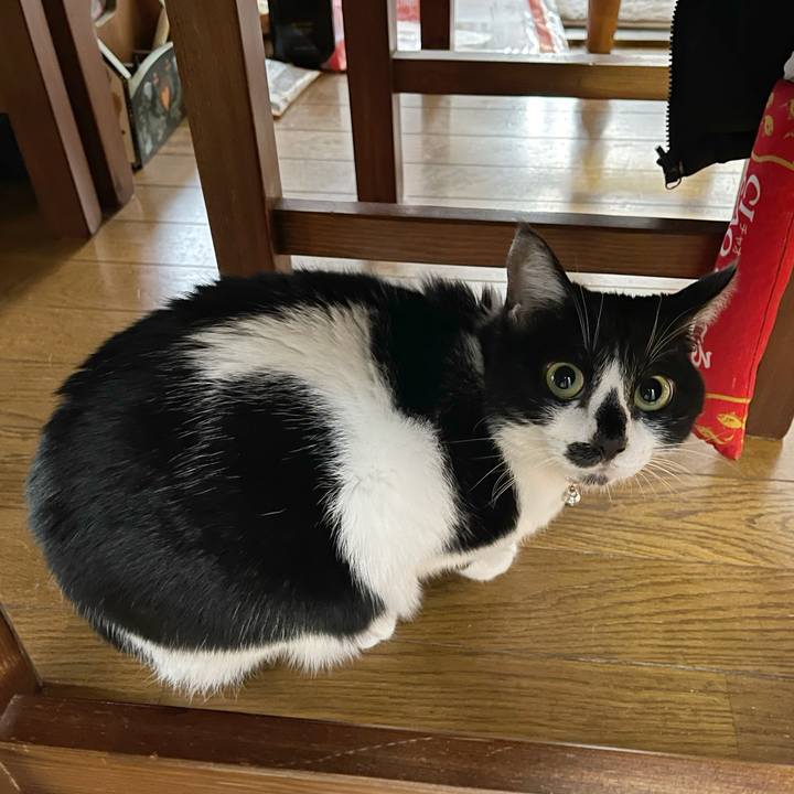 Ee4f5ce0 8f39 4164 90e6 250cecb72523 1767148463554