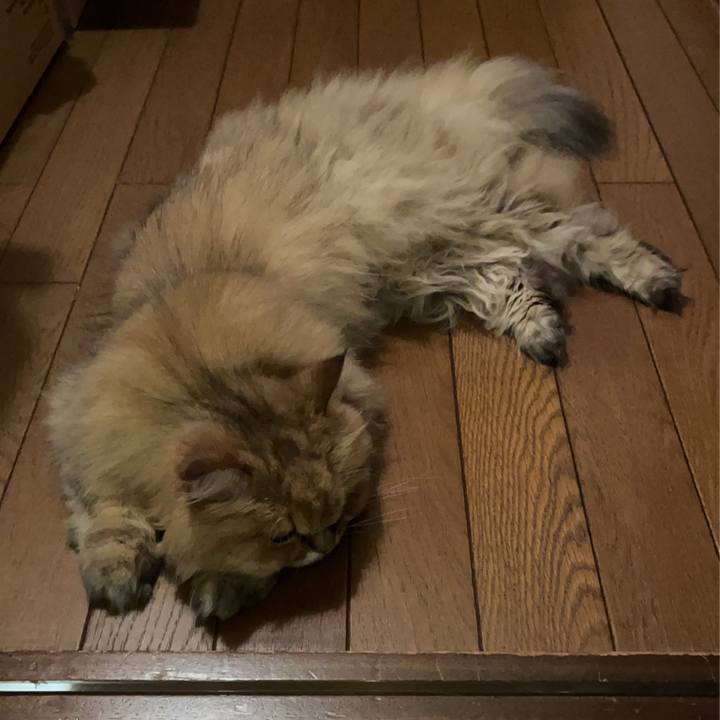 Ee4f64c6 76f5 451e ba44 0fbf0ab9377f 1761130690843