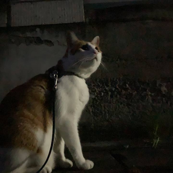 Ee4f6913 ef05 40e6 b96e 657757674699 1627650744749