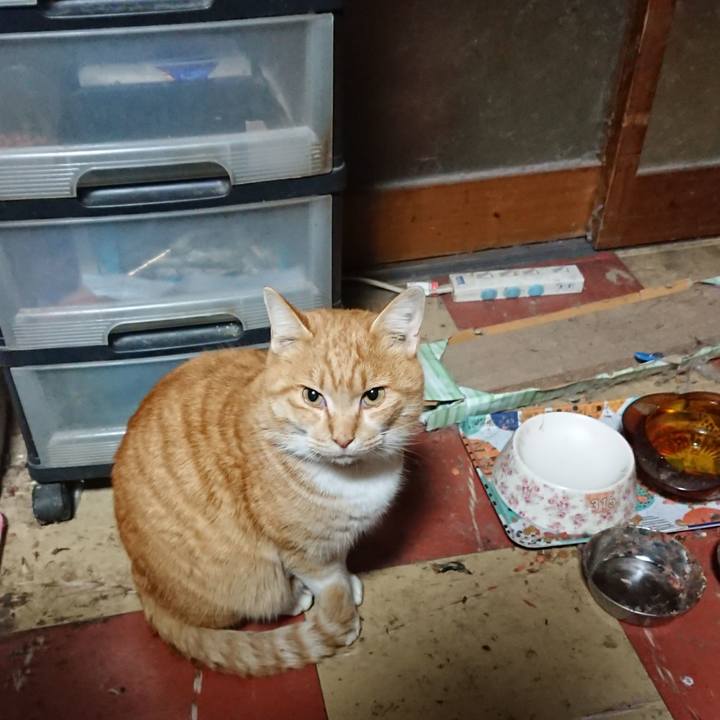 Ee4f7823 2dea 41d5 aa3a 801080b0a03c 1578426831652