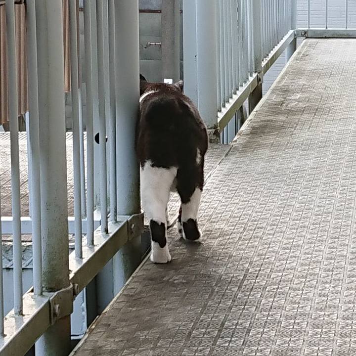 Ee4f8990 fe9e 407f a960 f42665ad7c51 1658481044696