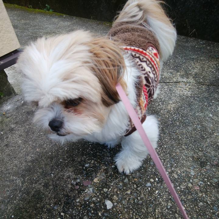 Ee4fcea7 1c6c 4e25 9647 ac218f48b5ce 1513047502975