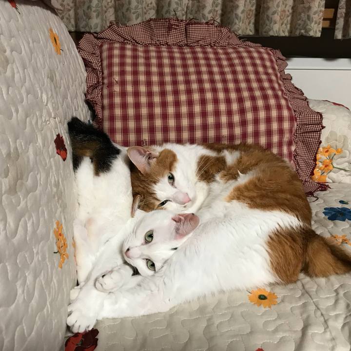 Ee4fe446 deea 4995 a968 f2d48dccd977 1541241267774