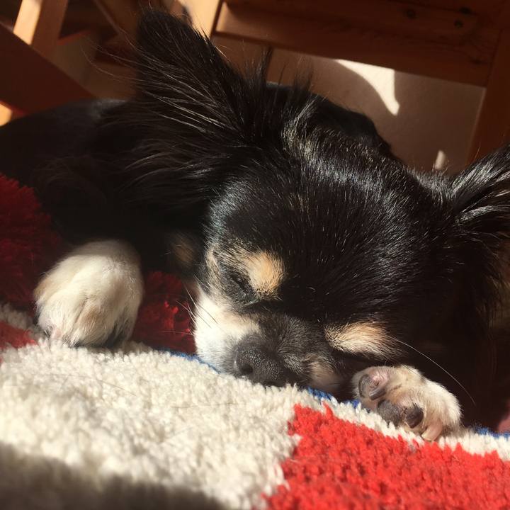 Ee500984 7b65 4ffa 936f 4db5fcf47598 1514512299085