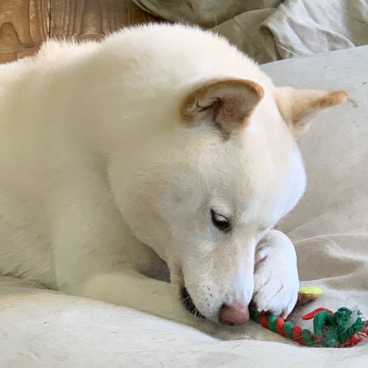 Ee501b01 be94 4f65 b131 72cc44d44347 1578188152450