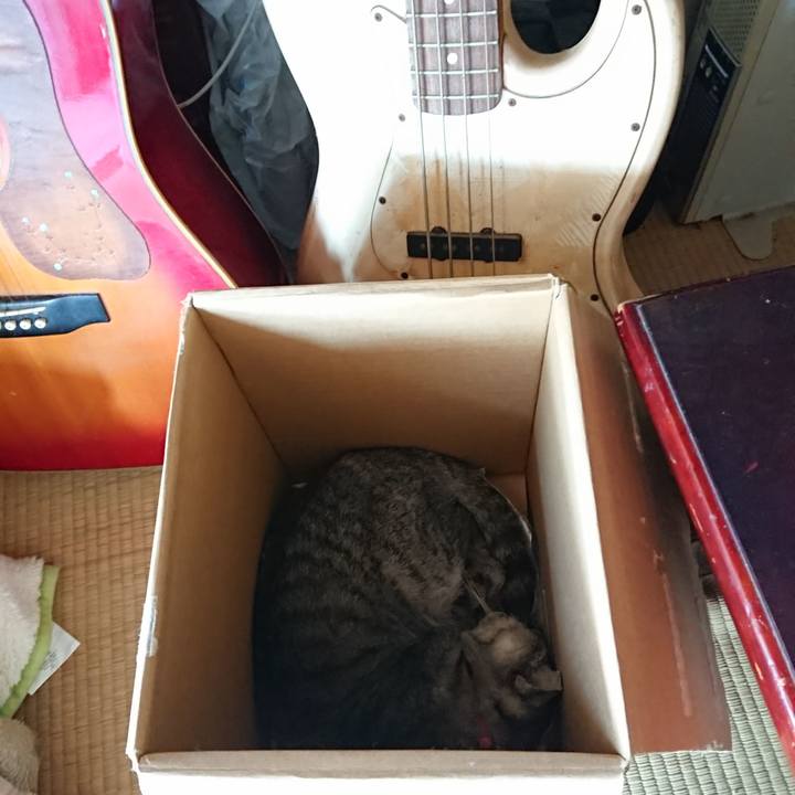 Ee502476 a9ae 4ab4 bbfc 3b997ee0b916 1591487149582